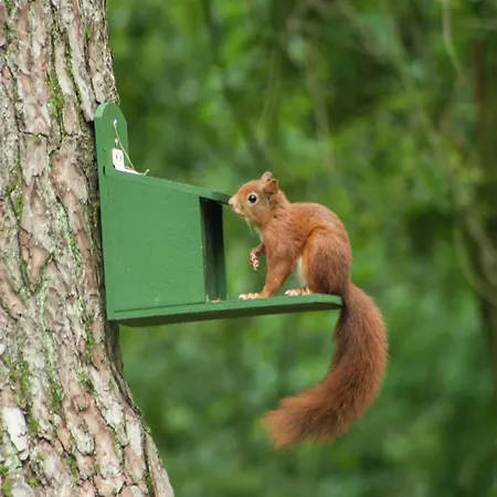 Pet-friendly Getaway, Cleaning Included Holiday home *